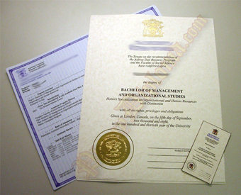 International Canada Fake Diploma and Transcript Package With Embossed Foil